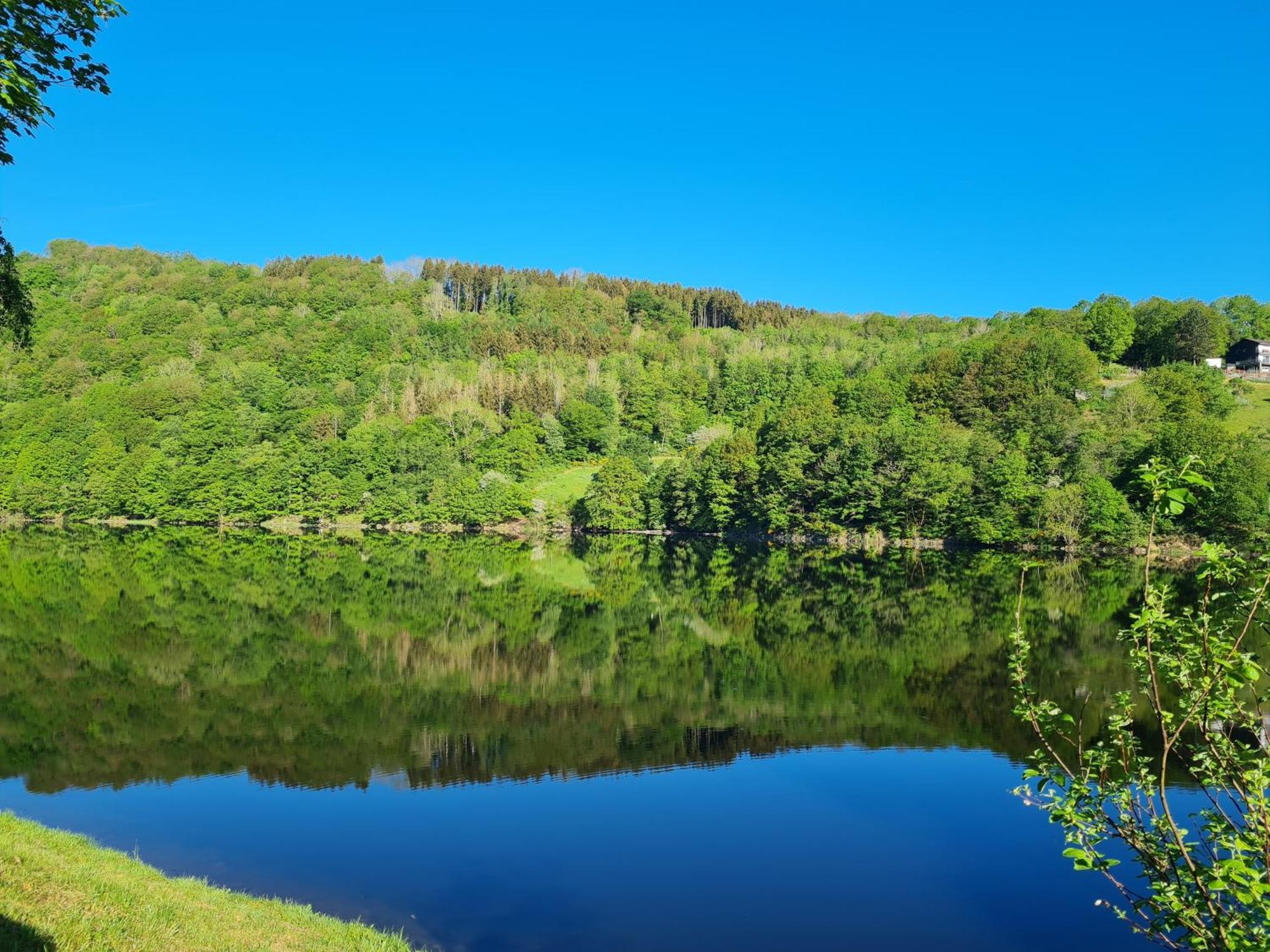 Ferienwohnung Am Rursee Simmerath Exteriör bild